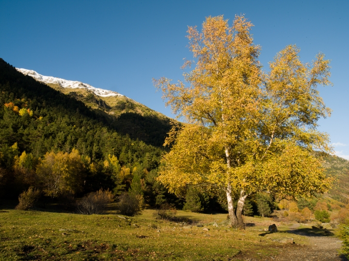 Parc Nacional d'Aigüestortes,<br/>Pyrenees, Spain